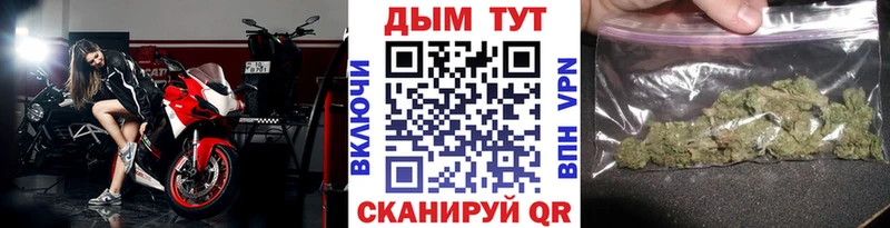 где можно купить наркотик  Гороховец  Шишки марихуана индика 